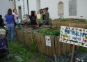 Visiting the urban gardening project "gottesacker" at the church St. Andrä, Graz