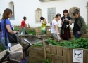 Visiting the urban gardening project "gottesacker" at the church St. Andrä, Graz