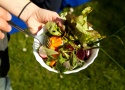 Kuba Szreder - Life-Work-Salad; Foto: Alexandra Gschiel