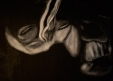 Karin Petrowitsch - "Nest", Analoge Schwarz-Weiß-Photographie, ca 40 x 30 cm, nachcoloriert Bild: Ölmalerei, 1,40m x 1m