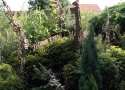 Bonsai-Kunstgarten von Horst Weinzettl, Rundgang "Verzauberte Pltzchen im Stadtteil Triester", Foto: Eva Ursprung 